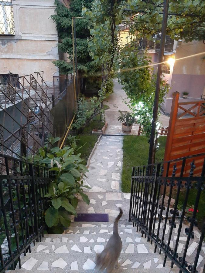 Piccola Italia Casa Racovita Cluj-Napoca Extérieur photo