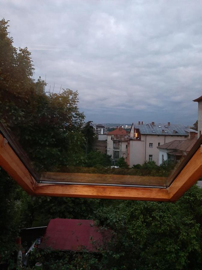 Piccola Italia Casa Racovita Cluj-Napoca Extérieur photo
