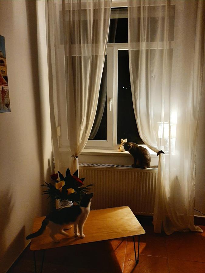 Piccola Italia Casa Racovita Cluj-Napoca Extérieur photo