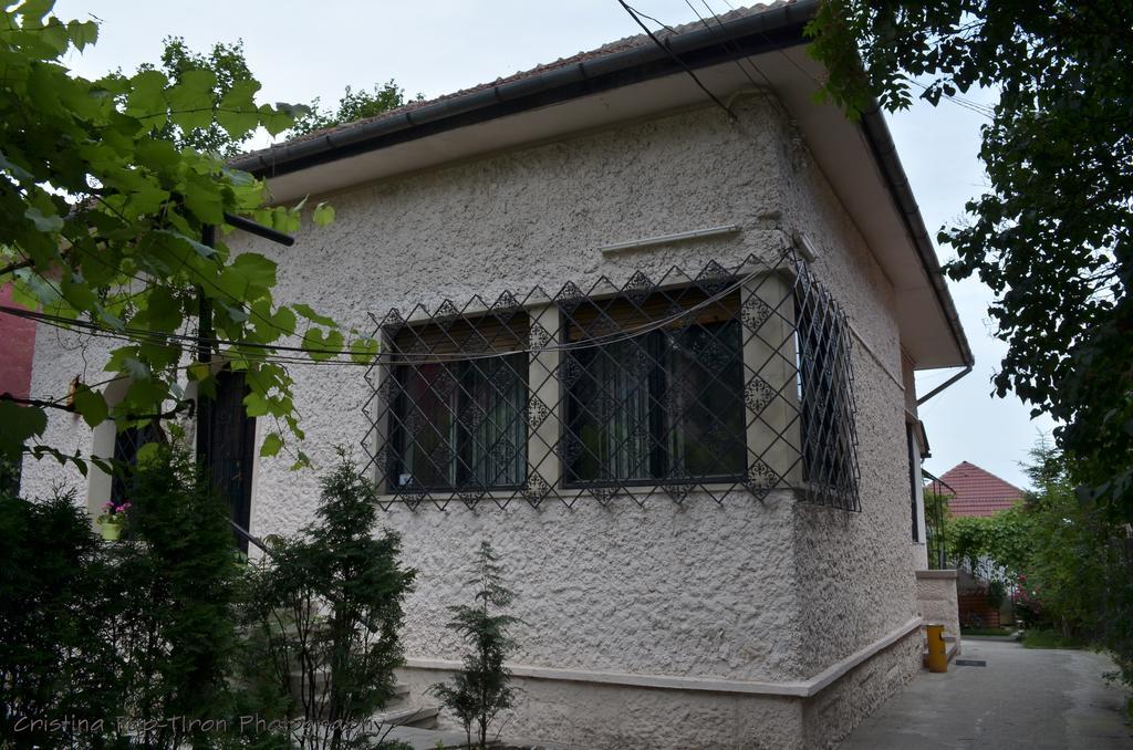Piccola Italia Casa Racovita Cluj-Napoca Extérieur photo